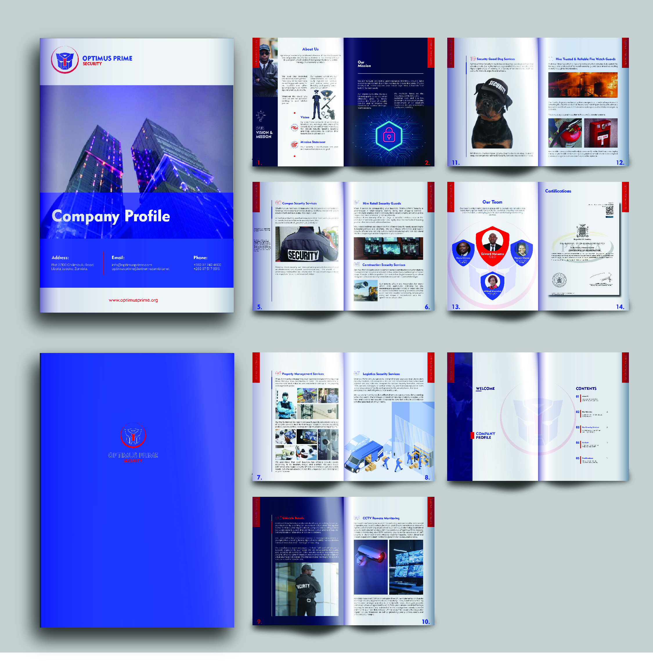 Professional profile mockup